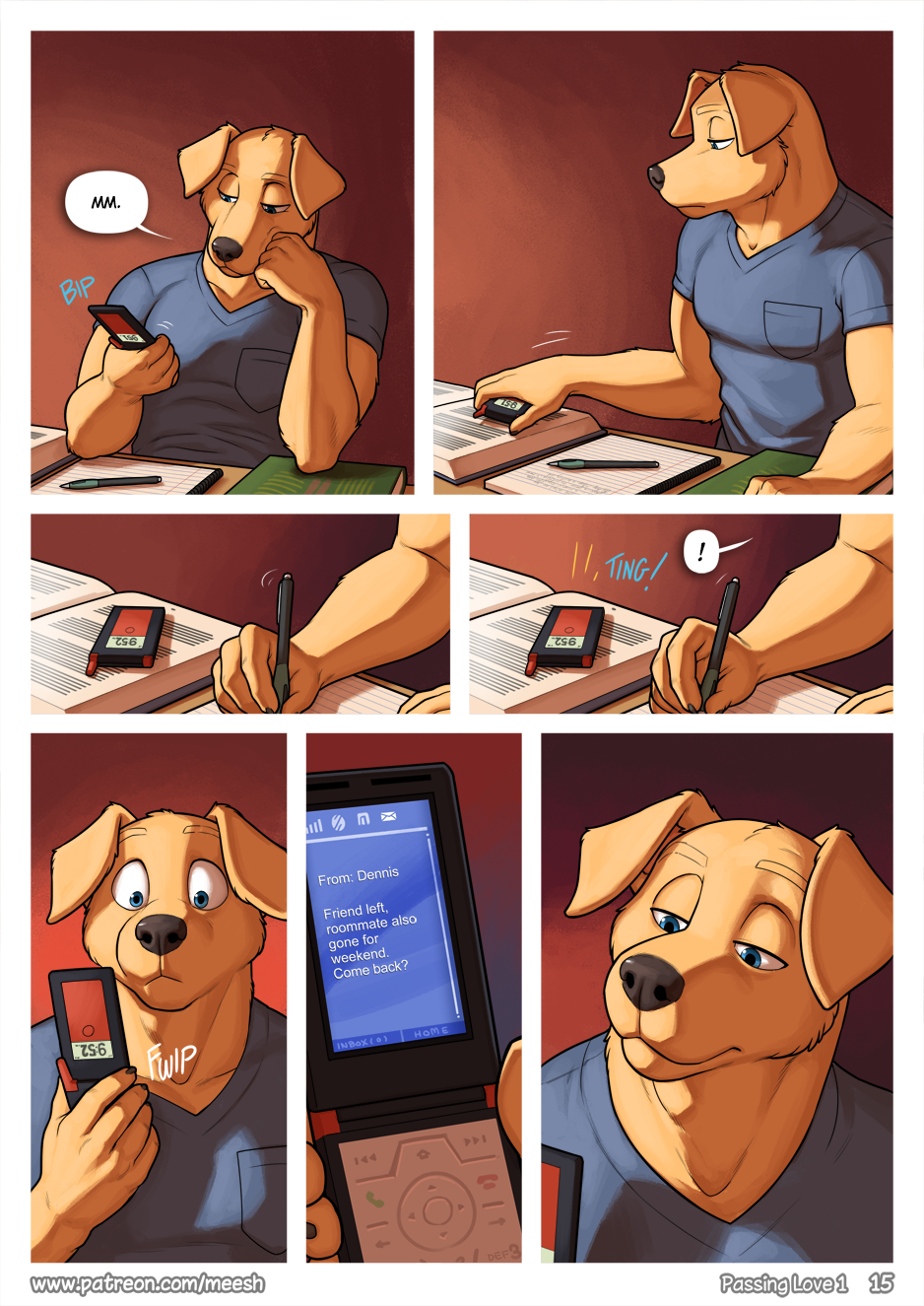 Page 15